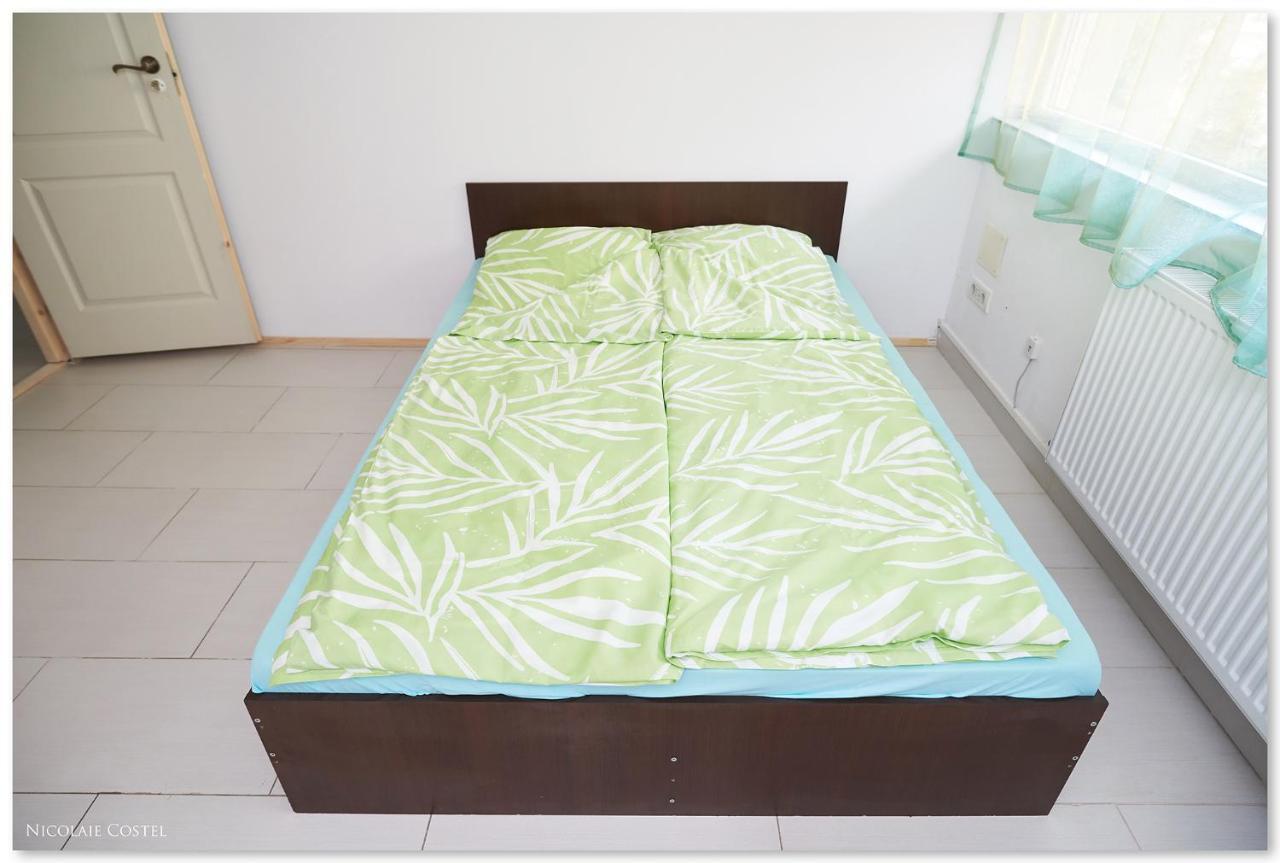 Zen House Hostel Timisoara Ngoại thất bức ảnh