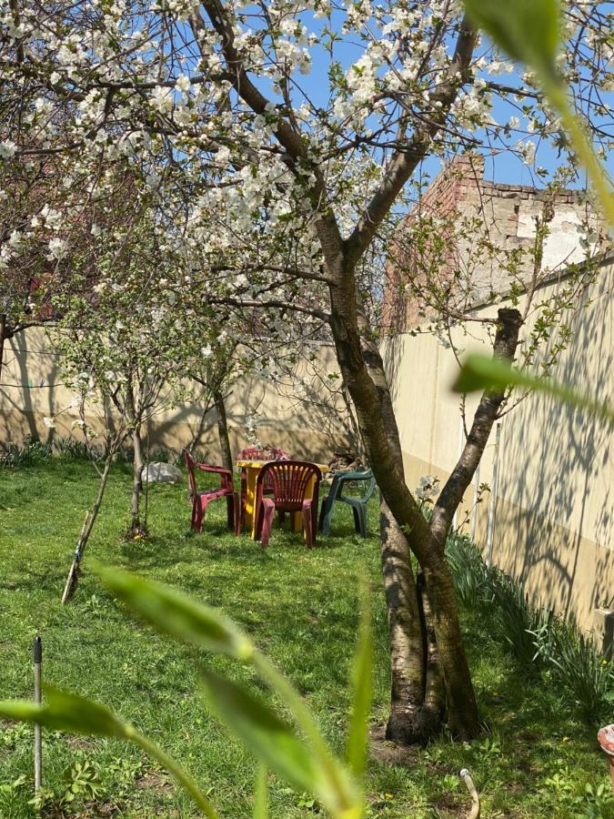 Zen House Hostel Timisoara Ngoại thất bức ảnh